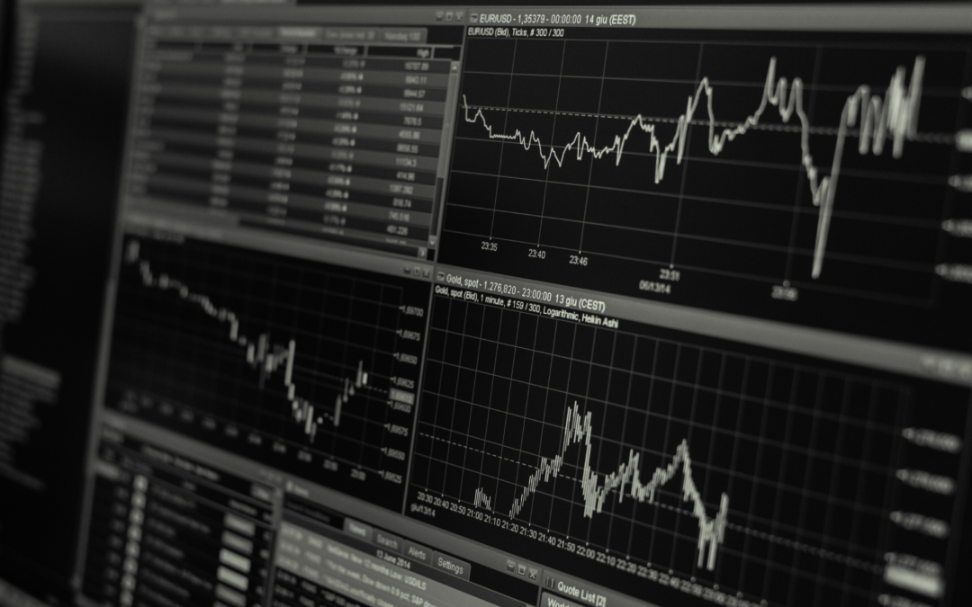 Professional showcasing documents related to a commodity and investment firm for sale, highlighting the opportunities with Meritus Group Business Brokerage.
