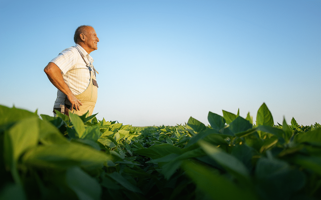 Freedom, Legacy, and the Quiet Question No One Talks About